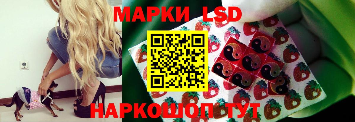 Нарткала  ЛСД экстази ecstasy  Вход с VPN 